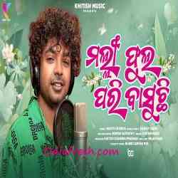 Malli Phula Pari Basuchi